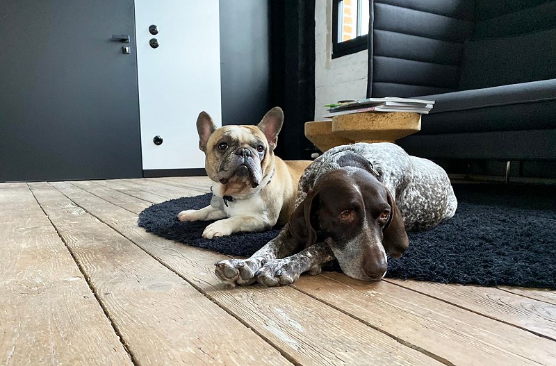 Jung & Klemke Studio