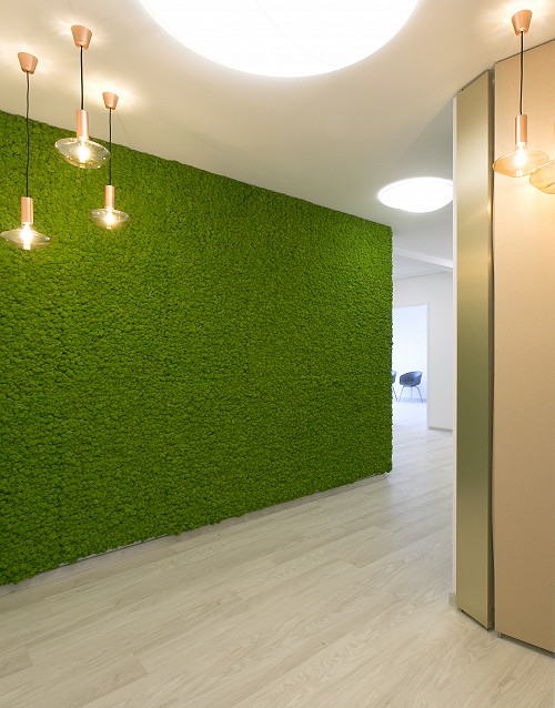 Zahnarztpraxis Dr. Ebert & Team