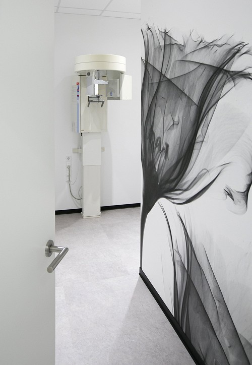 Zahnarztpraxis Lauterbach