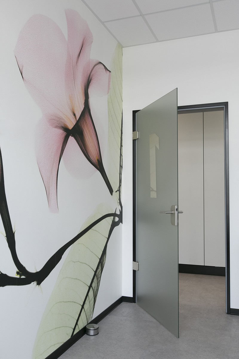 Zahnarztpraxis Lauterbach